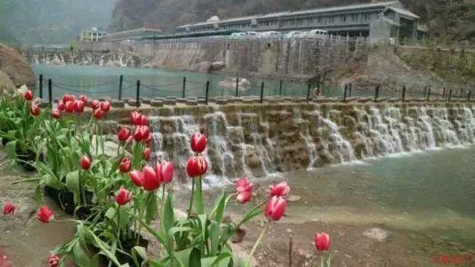 南宁启动残疾人一键呼叫急救无障碍试点项目