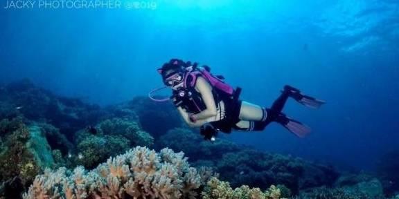 救援深海动物