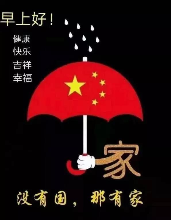 解救金刚鹦鹉