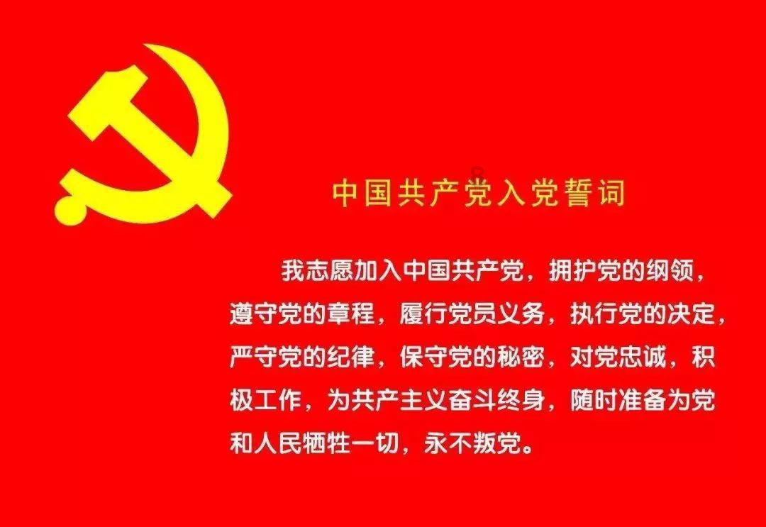 逗小猴开心系列186