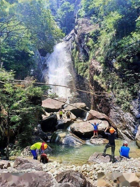 矮化密植大樱桃抢“鲜”上市了