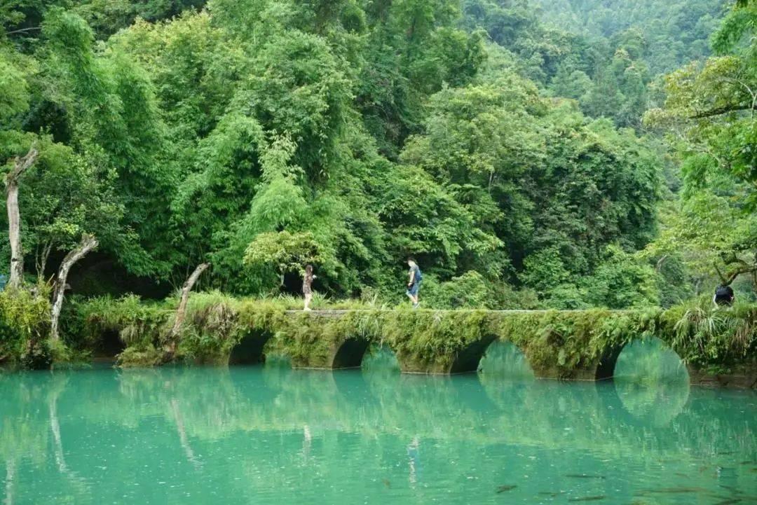 探索蜗牛世界,尽在大连北到公主岭南多长时间,大连北到公主岭南有多远