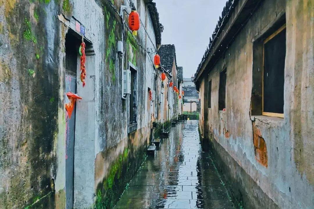 【楚天评】东湖评论：凝心聚力共奋进 携手画好同心圆