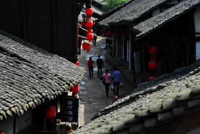 拿破仑：全面战争